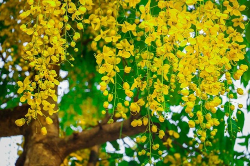 cheap kerala family tour packages